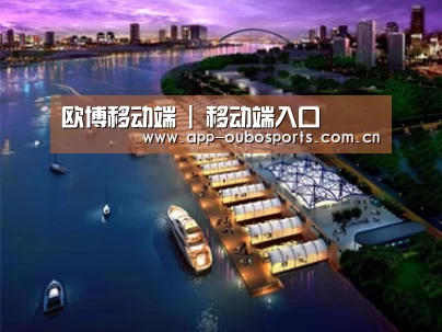 案例展示八